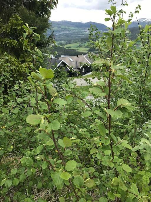 Voss - Flott Hytte I Bavallen Skulestadmo Екстериор снимка